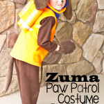 Paw Patrol Zuma Halloween Costume