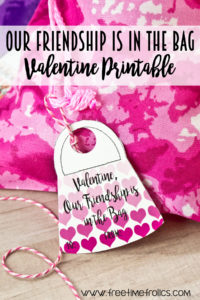Our friendship is in the bag valentine printable add a cute coin purse or drawstring bag filled with a treat or toy. www.freetimefrolics.com